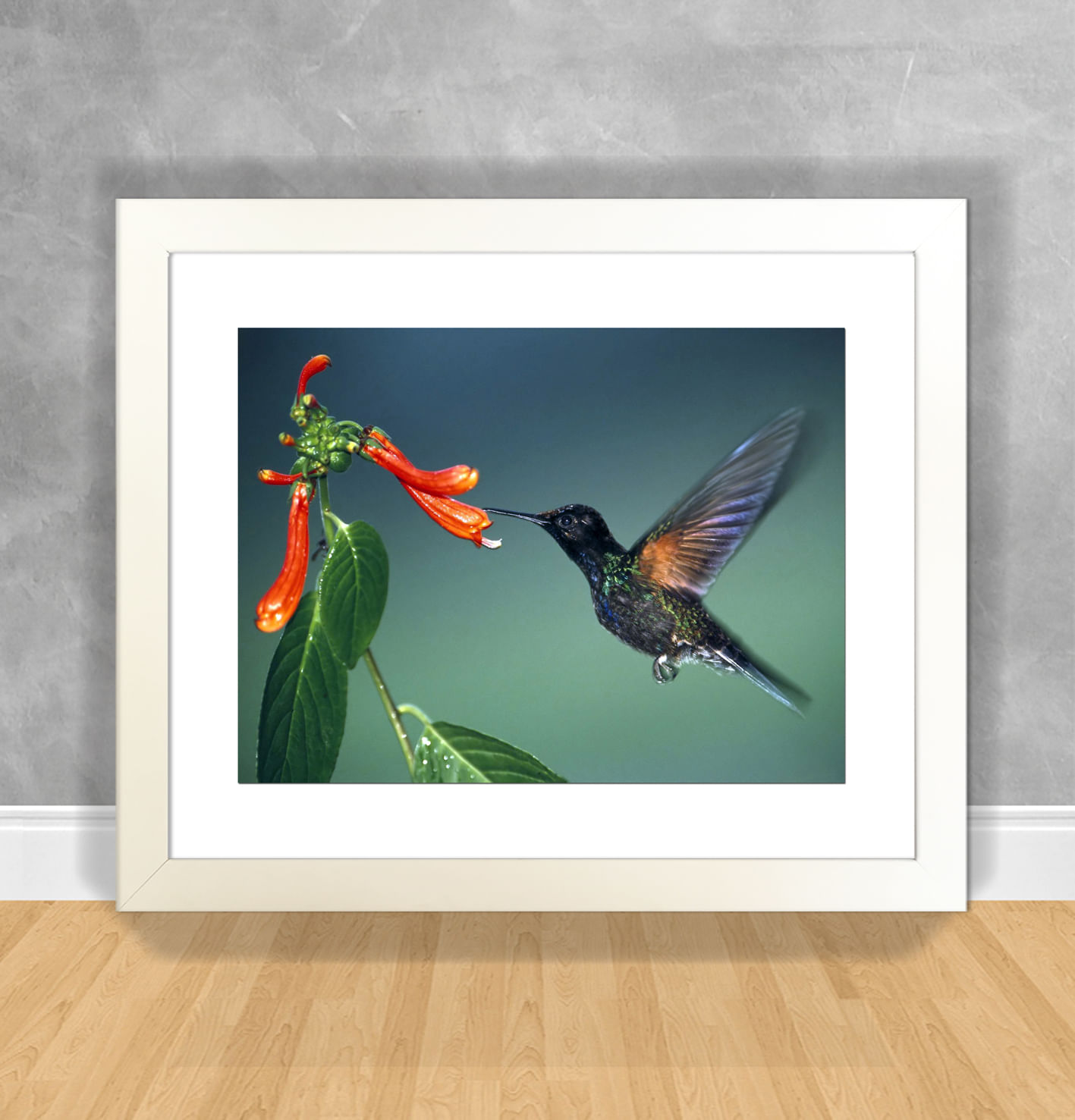 Beija Flor Entra Pela Porta Da Cozinha Quando Um Beija Flor Entra Pela Porta - Últimas Flores