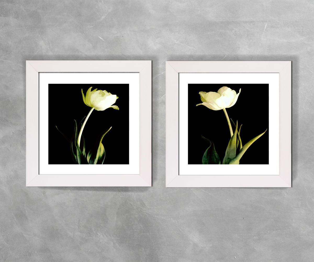 Quadro Ref Flor Fundo Preta 1 E 2 Rei Dos Quadros