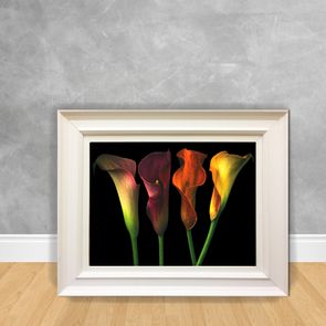 Quadro-Decorativo-Canvas-Flor-Tulipa-Color